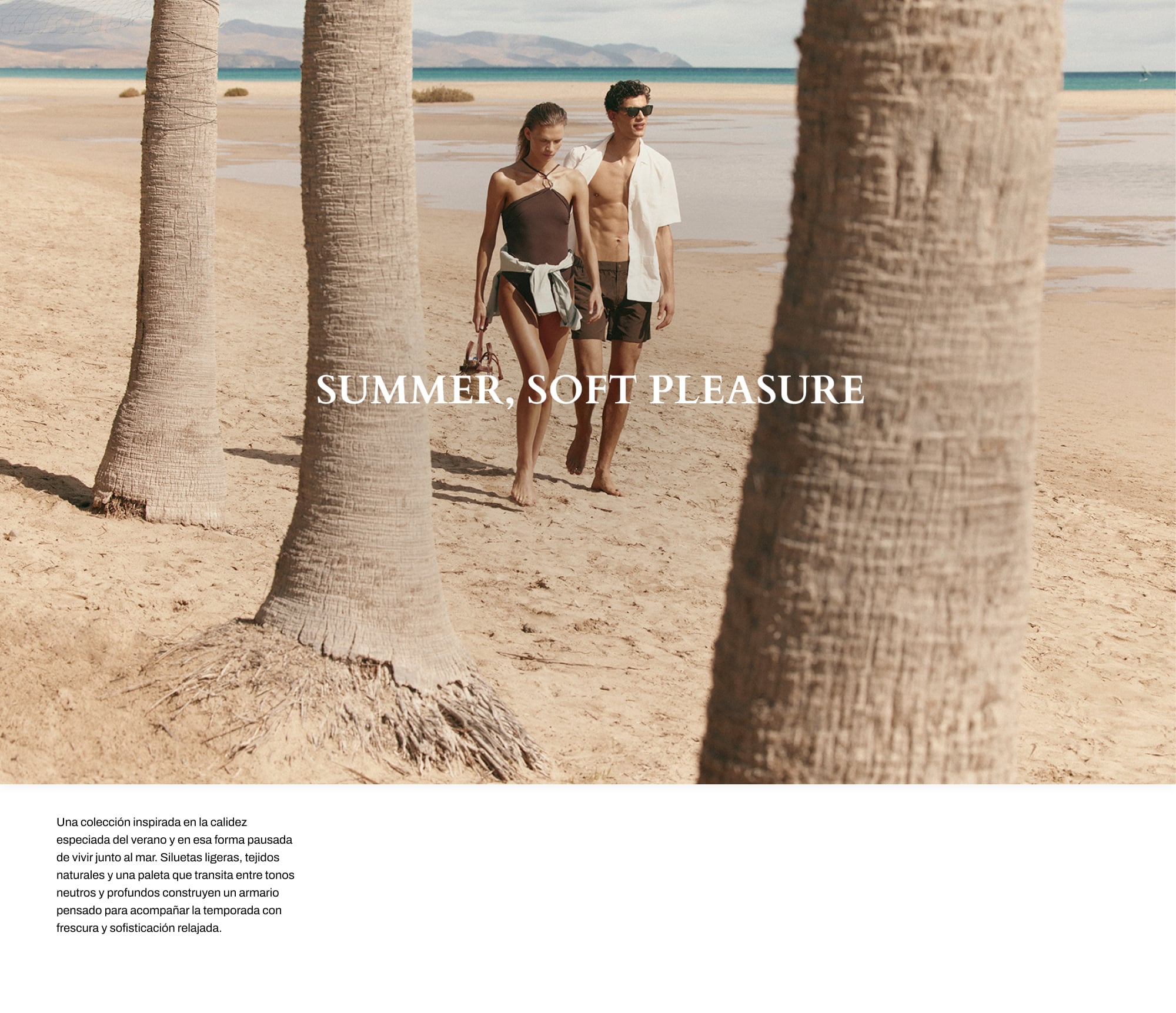 Pedro del Hierro
