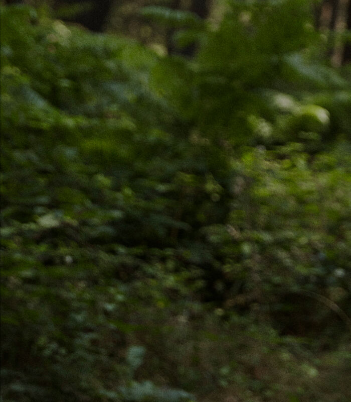 Pedro del Hierro Man & Woman