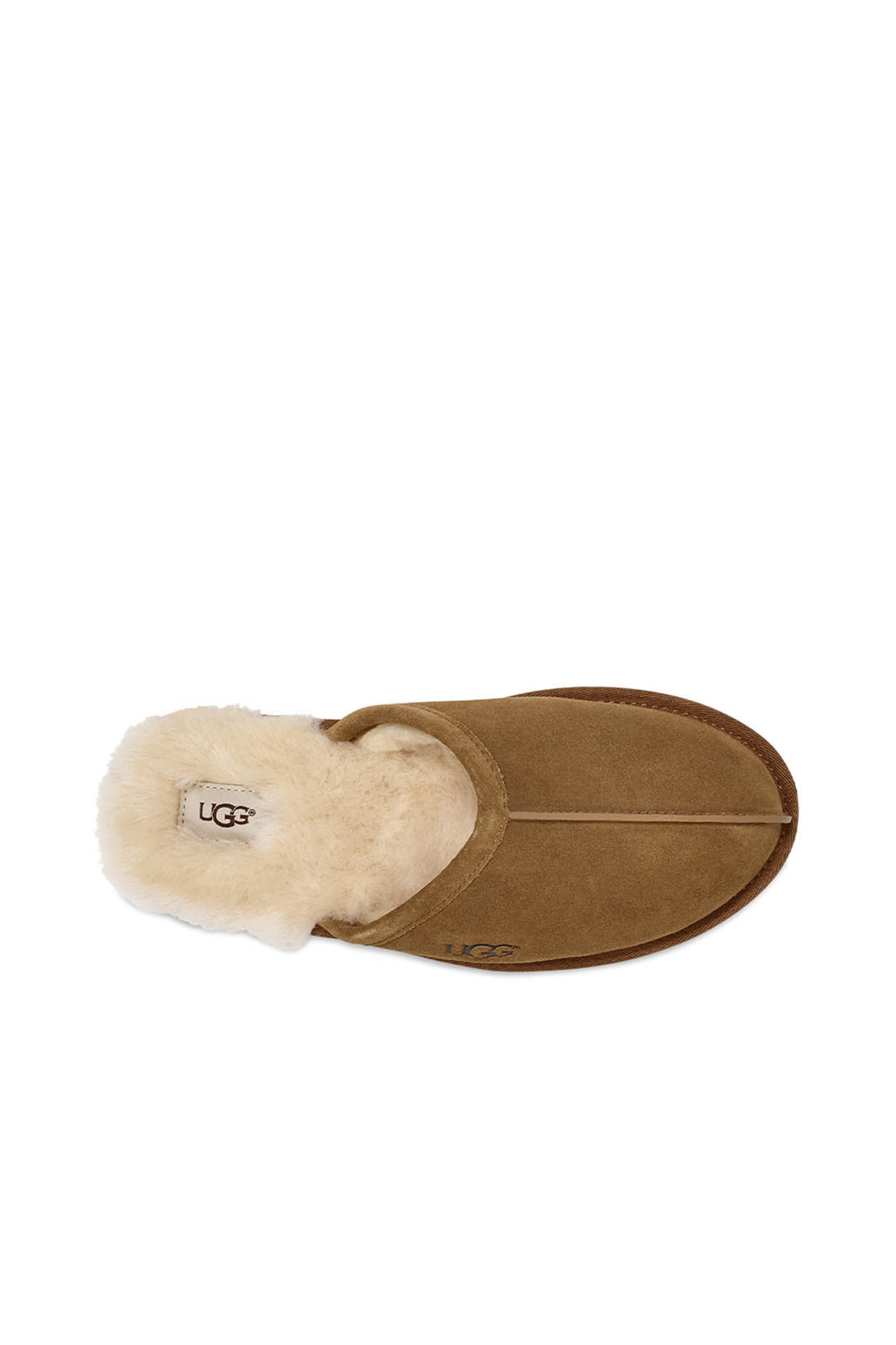 Ugg Scuff slipper. UGG Brand Brown