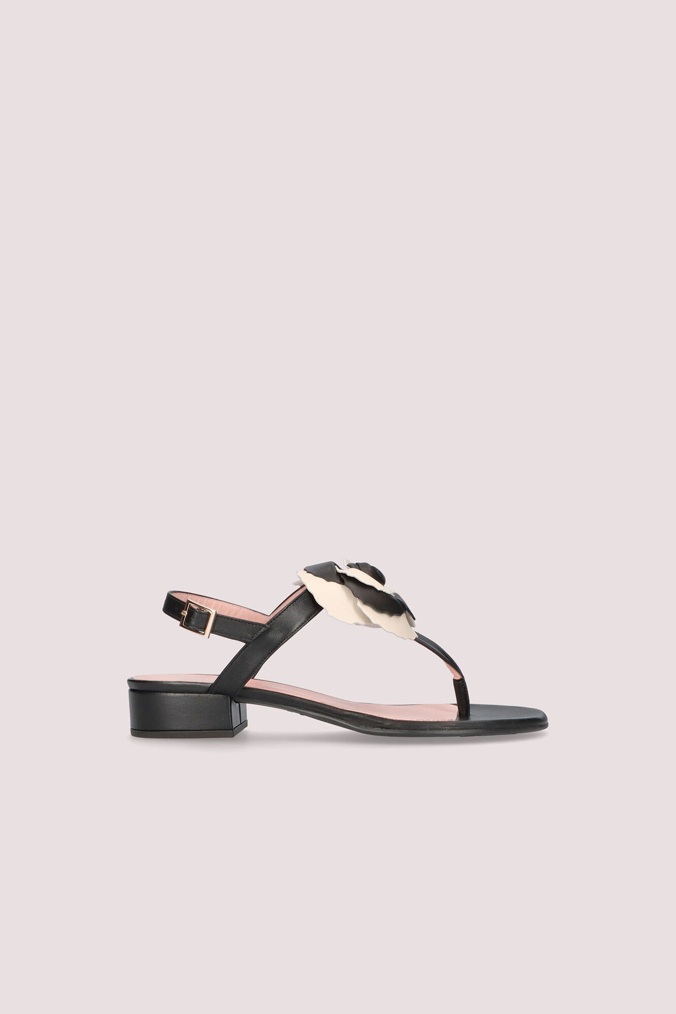 Pretty Ballerinas Nappa leather embellished sandal Black