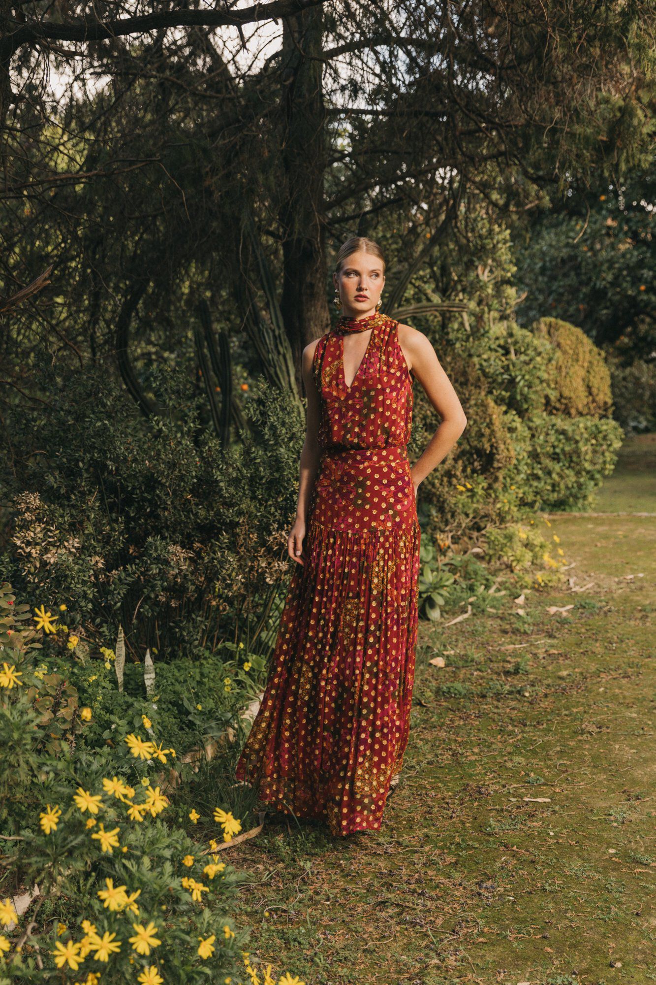 Cherubina Saia Bibiana