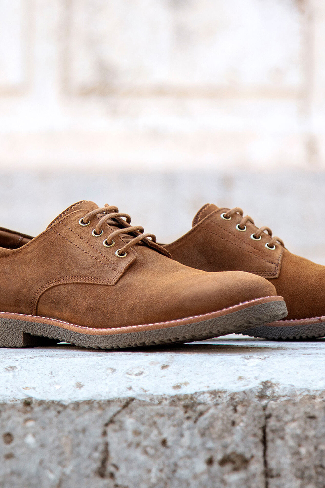 Panama Jack Sapatos de pele masculinos Castanho