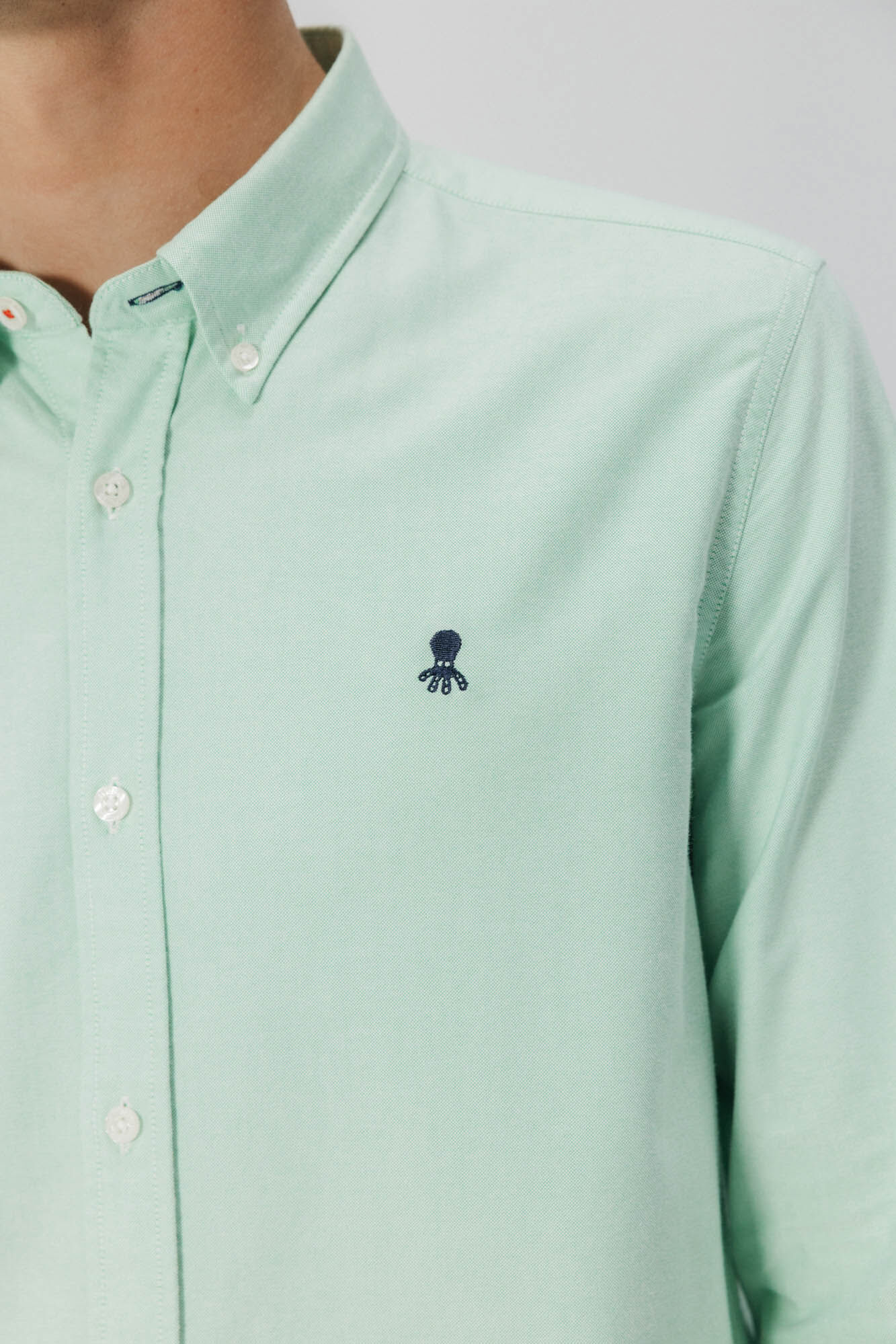 elPulpo Camisa casual Oxford Verde