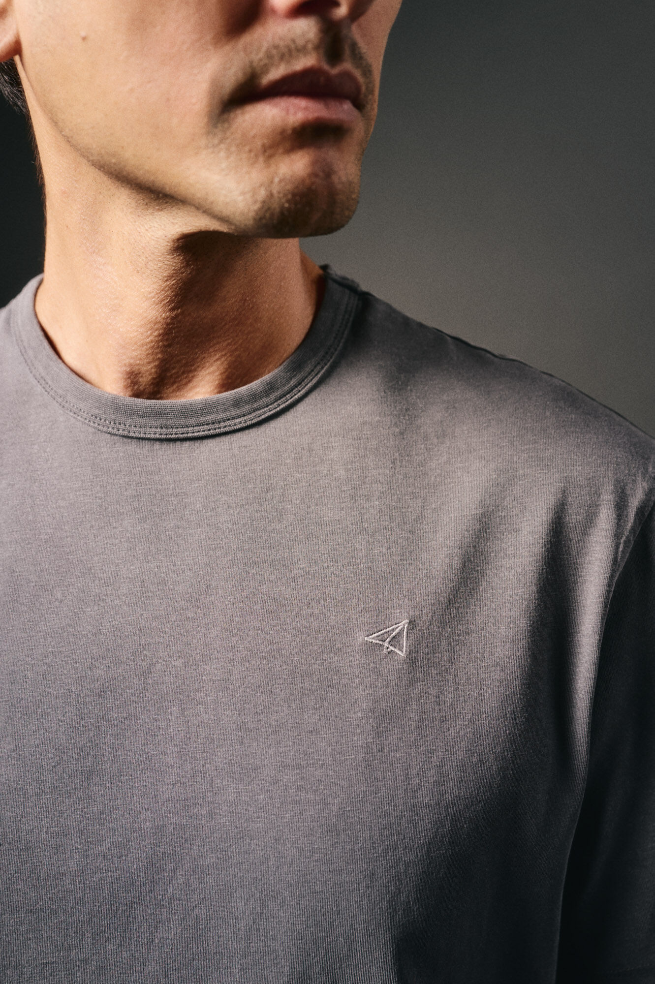 OOTO Camiseta b&aacute;sica com bordado de avi&atilde;o Cinzento