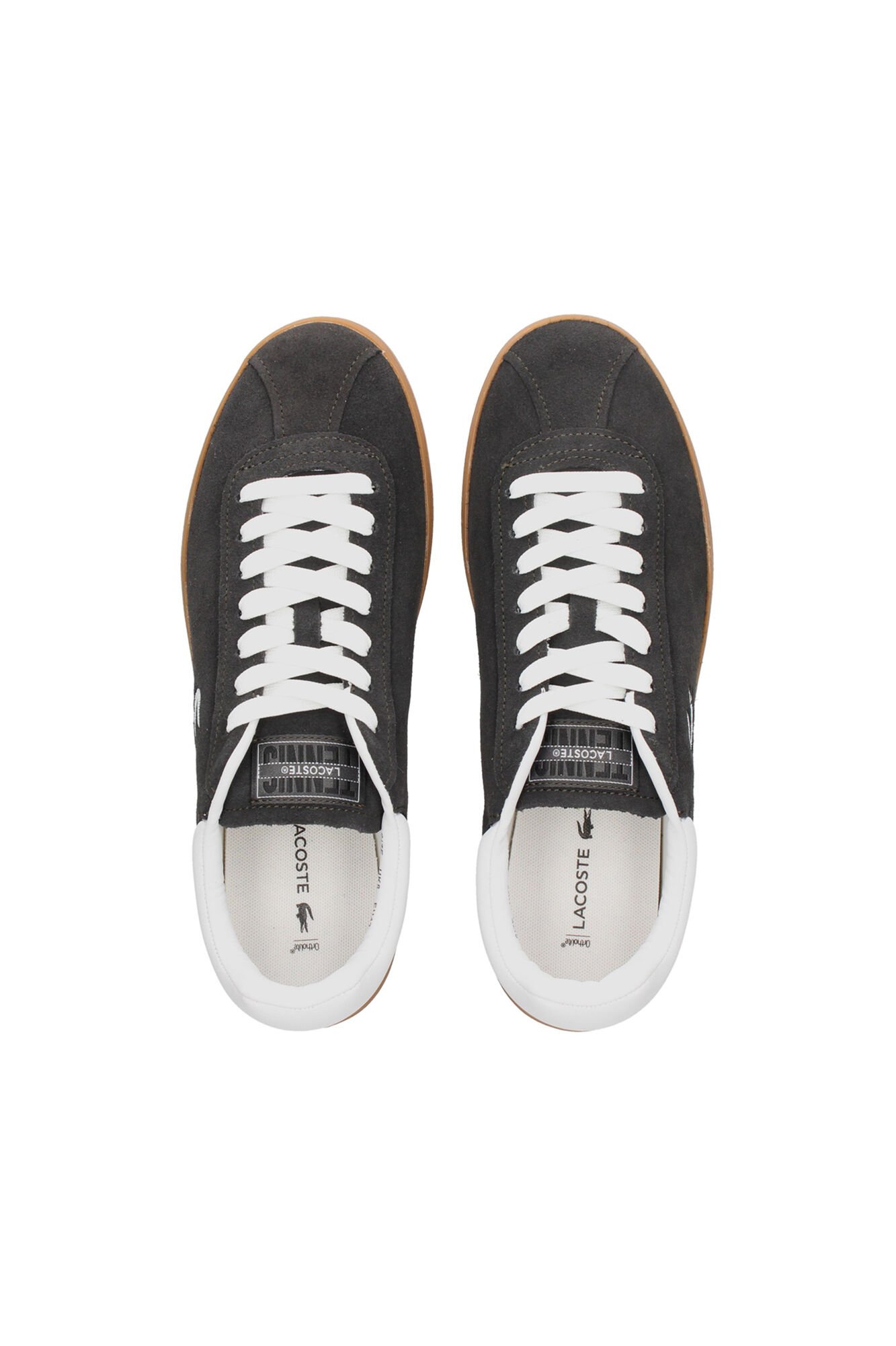 Lacoste Sapatilhas para homem Baseshot de camur&ccedil;a Multicolorido