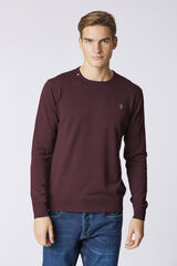 Us Polo Cris Sweater Maroon