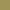 Estampado verde