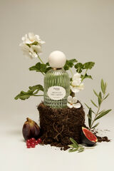 Hoss Intropia Hoss Intropia Siesta in the Garden Eau De Parfum 100ml Green