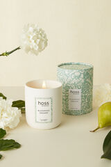 Hoss Intropia Hoss Intropia Blooming Dreams Candle Green
