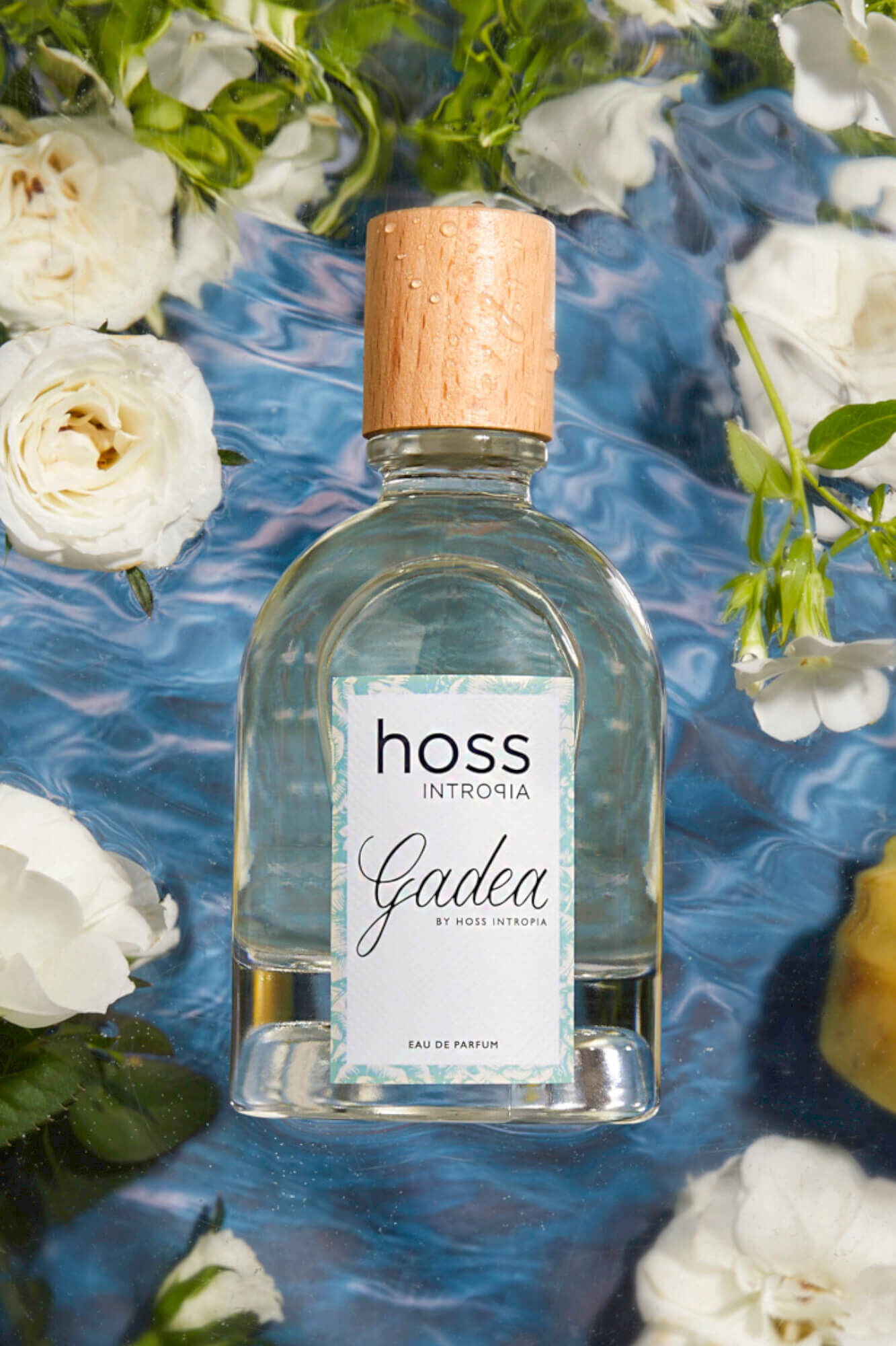 Hoss Intropia Gadea. Perfume Hoss Intropia 100ml