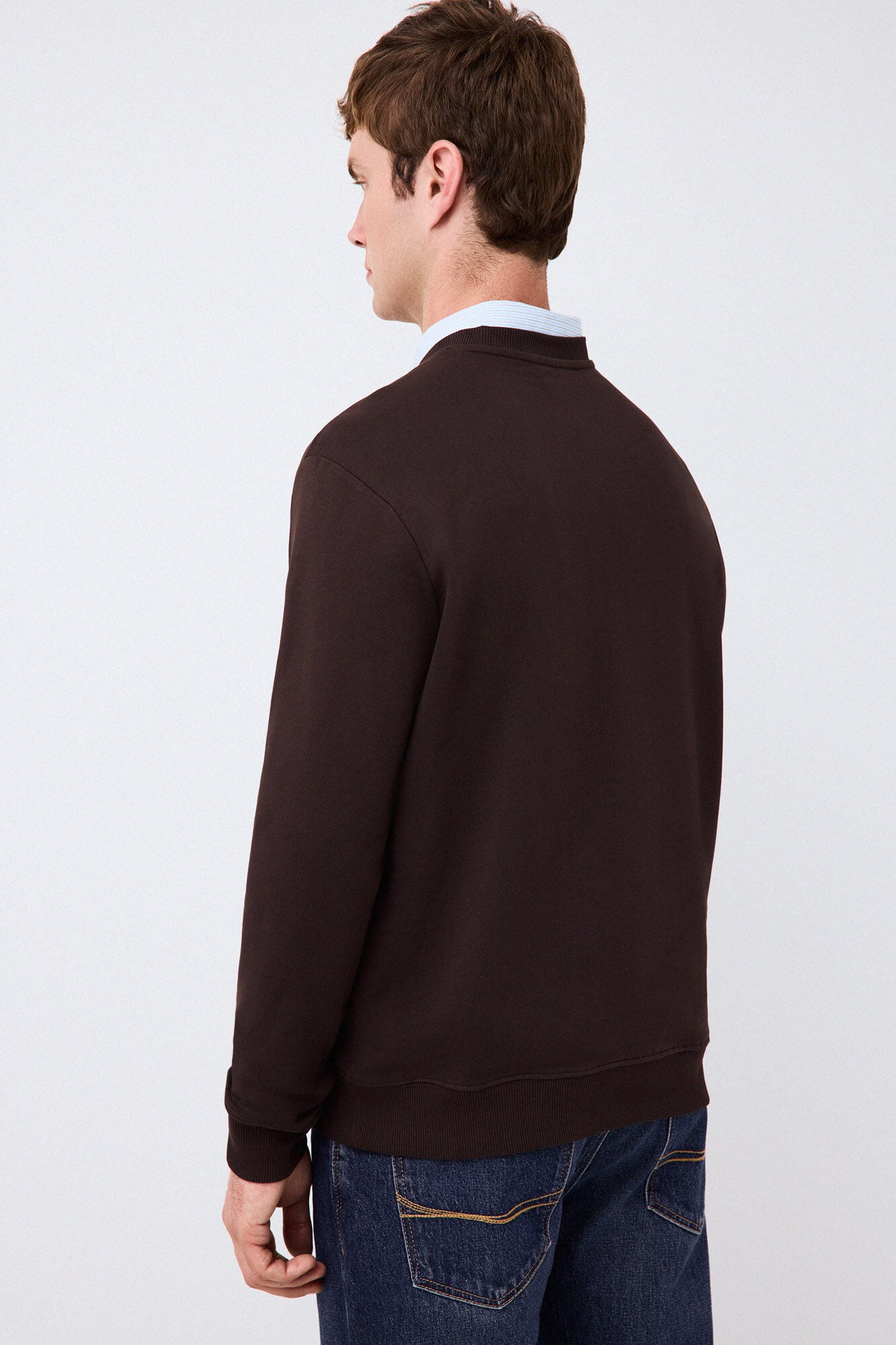 Pedro del Hierro Crew neck logo sweatshirt Brown