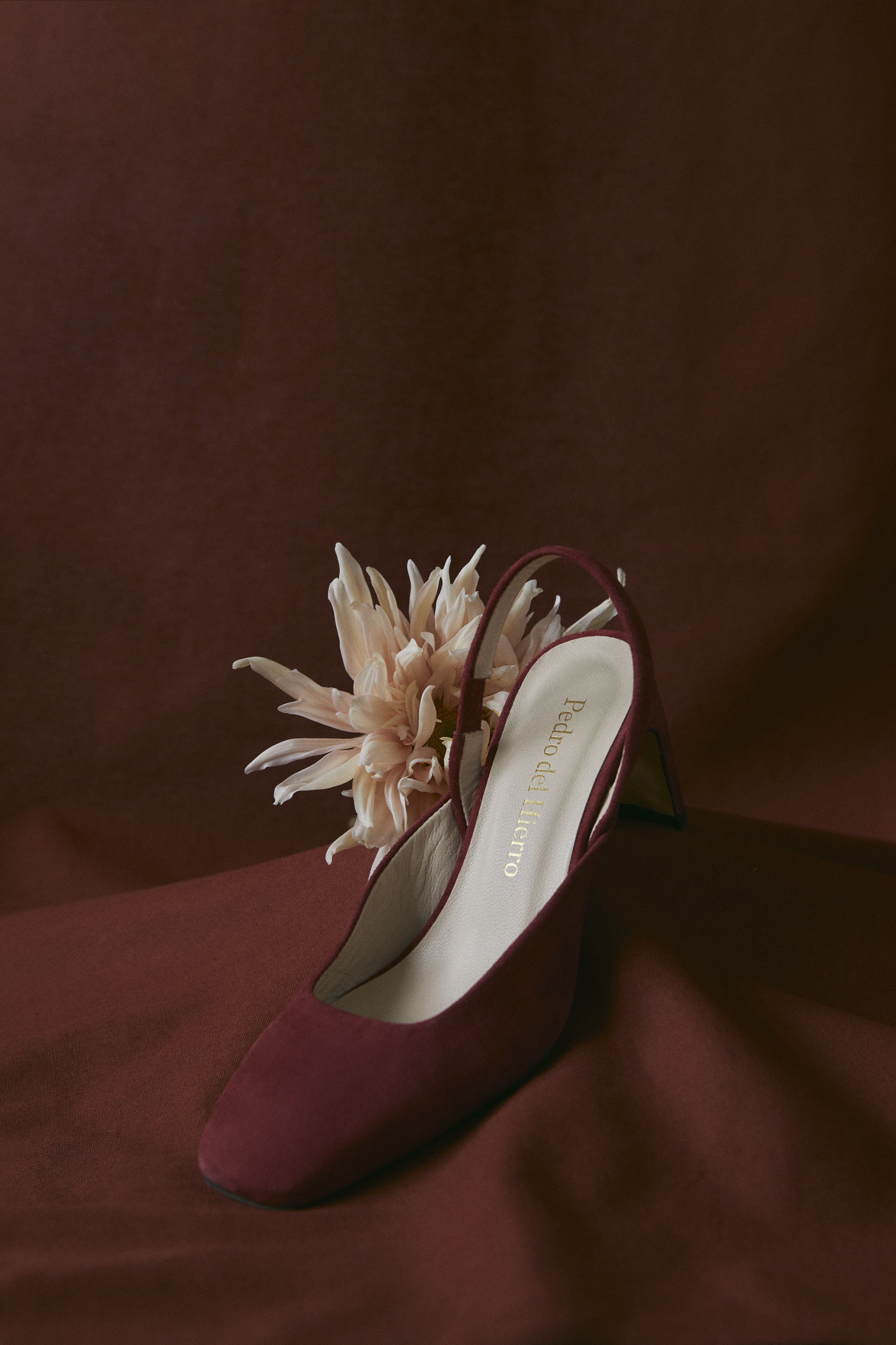 Zapatos de Mujer | Nueva | Pedro del Hierro