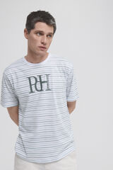 Pedro del Hierro T-shirt riscas logo Verde