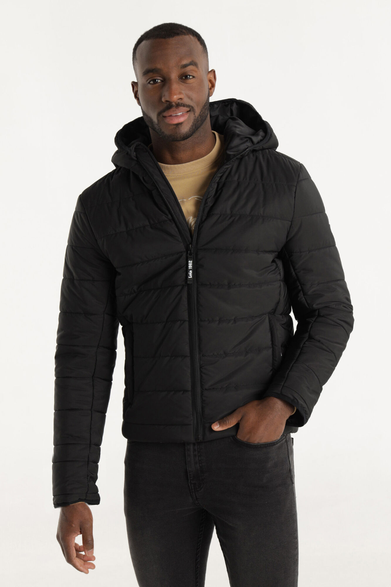 Lois Cazadora acolchado